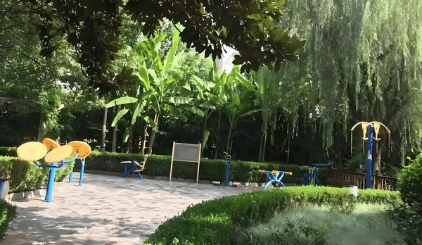 办理入户积分查询_董璇谈2任丈夫：从没想过会和高云翔离婚，张维伊敢娶我很勇敢 丈夫从没想消息中说