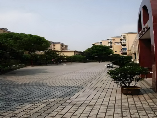 深圳入户哪里查询_你属于我，酋长近端锋凯尔西首次晒出与霉霉恋爱后的甜蜜合照 目标去走着行要跟业的发展